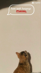 KAOS HITAM WASHED oversize DISTRO POLOS OVERSIZE PRIA / STONEWASH / WASHED TEES