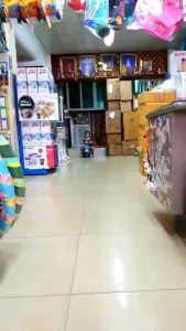 ดุ๊กดิ๊ก รถ2in1 เป็นทั้ง รถดุ๊กดิ๊ก + รถขาไถ รุ่น แมวเหมียว มีเพลง สวยงามน่าเล่น ของเล่นเด็ก รถของเล่น รถเด็กเล่น ของเล่นเสริมพัฒนาการ