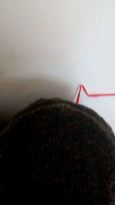 Bánh Đa  Đô Lương (10 cái ) . Đặc sản Nghệ An