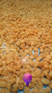 ลำไยอบแห้ง แบบฉีก