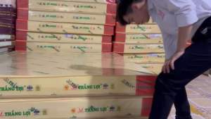 [HCM] Nệm cao su non thắng lợi 1m6x2mx10cm - QUÀ 7 MÓN - HÀNG CÔNG TY-FREE SHIP MAX