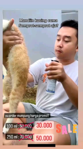 REMOV Pet Dry Shampoo Kucing dan Anjing 250ml Wangi Shampo Tanpa Bilas Grooming Instant Grooming