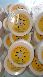 Mineral blok - Mineral blok satset - Mineral satset - Blok satset - mineral sapi - mineral kambing - mineral domba - vitamin sapi - mineral ternak - mineral domba - mineral blok untuk kambing - mineral blok untuk sapi