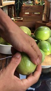 Markisa Segar Siap Konsumsi