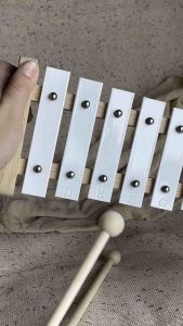 Músico Xylophone