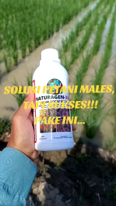 Pupuk naturagen x-tra pupuk cair