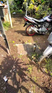 KNALPOT TIGER 2000 MODEL KAPSUL TIGER REVO TIGER LAMA NGEBASS ULEM