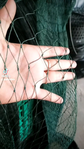 Jaring Pagar Kebun & Jaring Ayam: Panduan Lengkap