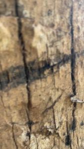 สร้อยคอสแตนเลสแฟชั่น ไม้กางเขนสองเลเยอร์ +กล่องเทปใส ผู้ชายผู้หญิงก็ใส่ได้ ไม่ลอกไม่ดำ