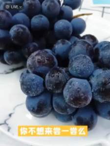 China Blueberry Grapes Seedless Sweet & Juicy 中国进口蓝莓葡萄无籽脆甜蓝莓味葡萄