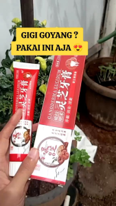 Pasta Gigi Ganoderma Lucidum Pemutih Gigi Rontokan Karang Gigi Mencegah gigi goyang gigi kuning Kropos Gusi jadi kuat
