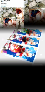 กบยาง เจ้าสายฟ้า 3.1cm.6g