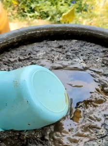 น้ำหมักปลาทะเล1ลิตร บำรุงเร่งราก ดอก ใบ พืชทุกชนิด