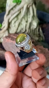 Batu Akik Bio Solar Aceh: Pilihan Dekorasi dan E-Commerce