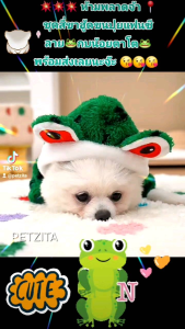🇹🇭พร้อมส่ง🇹🇭🐸💚🤍 ชุดลายกบเขียวตาโต ชุดสี่ขามีฮู้ด 🐸💚🤍 ผ้าขนปุย 🥰 ชุดนอนสุนัข เสื้อผ้าสัตว์เลี้ยง หมา แมว
