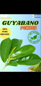 ORIGINAL PURE ORGANIC GUYABANO LEAVES CAPSULE 100pcs+FREE 12 PCS. CAPSULE 100% Pure and Natural