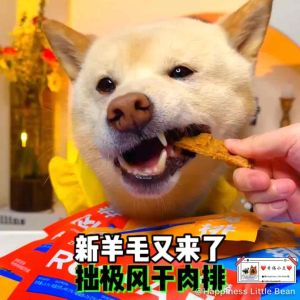 拙极主食全价无谷风干肉排风干犬粮全价无谷肉排尝鲜装12g 鸡肉三文鱼牛肉成幼犬成犬营养狗粮 12g Zhouji Air-dried Roupa Meat Steak Pet Dog Food Treats Snack
