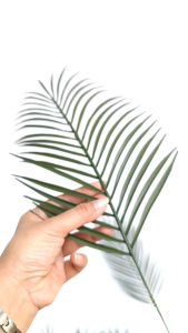 Setangkai AL35 Palem Sikas Daun Tanaman Plastik Dekorasi Wedding Seserahan Mahar