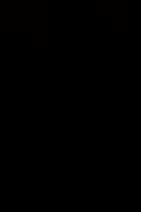 Totebag tas wanita kekinian