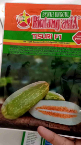 Benih timun suri hibrida Tisuri F1 kemasan 10 gram bintang asia