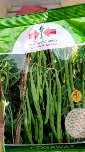 Benih Buncis Logawa Cap Panah Merah