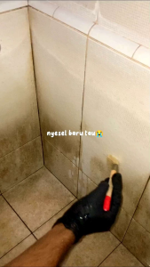 Cairan pembersih kerak kamar mandi anti bakteri staintless 500ml