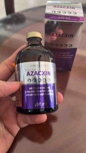 AZACXIN 100ml Thuốc tiêm trị hô hấp mãn tính viêm phổi khò khè hen khẹc gà đá gà chọi heo bò