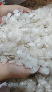 〔1kg〕深海野生龙趸鱼鳞片Wild deep-sea giant grouper scales