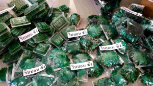 คล้องใบริบบิ้นเหรียญโปรย ใบส้ม ใบมังคุด ใบสตรวอ์เบอร์ รี่ ใบสับปะ รี่ กลีบ เลี้ยง กูจะหนู คุมค่าใช้จ่าย 24 ชั่วโมง