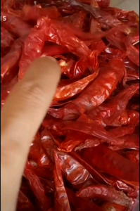 CABE KERING TEJA CAPLAK (500 gram)