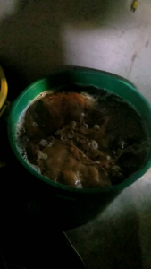 1-liter Super HB ( High level Probiotic ) Racing Pigeon Fighting Cock and all types of animals. 100%Organic