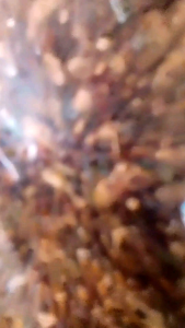 Basreng Stick Pedas dan Ori Daun Jeruk | Baso Goreng 50gr 100gr 250gr 500gr 1kg