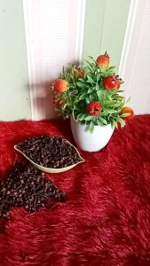 COD cengkeh 25 gram - bumbu dapur - rempah - herbal - penyedap