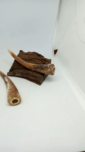 once pipa sedotan tanduk kerbau bule ukir naga h306