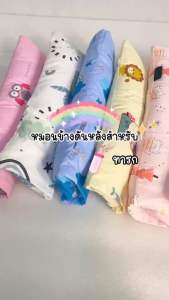 หมอนข้าง หมอนข้างดันหลัง หมอนจัดท่านอนตะแคง พร้อมส่ง สำหรับ Palm&Pond ผลิตในไทย