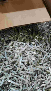 ikan asin teri buntio ukuran sedeng rasa asin sedeng kering murah berkualitas 100%