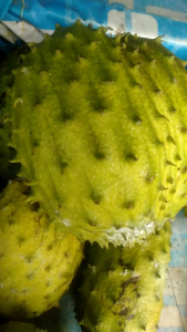 SIRSAK 1 BUAH BERAT 1KG FRESH