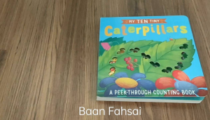 หนังสือภาษาอังกฤษเด็ก My Ten Tiny Caterpillars Board book