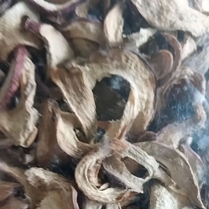 Buah MAHKOTA DEWA KERING