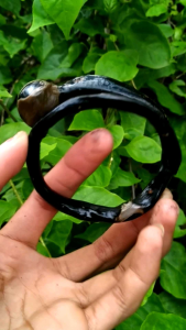 GELANG Akar Bahar BONGGOL kualitas pakai