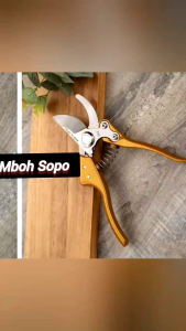 Alat Bonsai dan Berkebun Gunting Jepang SADA Gold 210