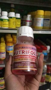 Nutrifol 250ml Pupuk Cair Kalsium Pemacu Pembuahan Mencegah Rontok