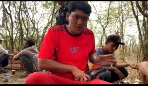 JAMU MERPATI HFF CAIR 20 ML JAMU HFF MERPATI MAKANAN MERPATI