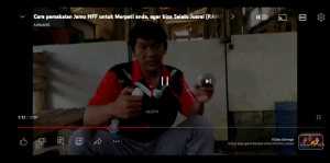 JAMU MERPATI HFF JAMU MERPATI TINGGI KOLONGAN JAMU BURUNG MERPATI