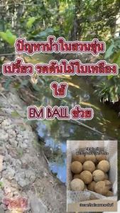 EM Ball 50 ลูก ชุด ราคาส่ง ช่วยบำบัดน้ำเสีย ชุด 50 ลูก หัวเชื้อ