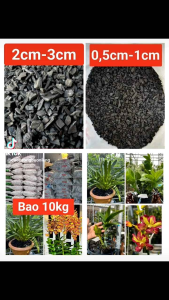 1Kg than củi trồng lan kiểng lá bonsai cây cảnh