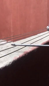 U3A - YAN SHOCK (High Voltage Predator Controller for Swiftlet Farming)