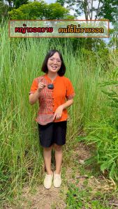 ยากำจัดวัชพืช (4 แถม 2) ไร้สารเคมี ชนิดดูดซึมกึ่งเผาไหม้ ใช้ได้กับพืชใบแคบและใบกว้าง เป็นมิตรต่อคนและสัตว์ ของแท้จากบริษัท