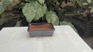 Chậu chữ nhật mini trồng sen đá xương rồng bonsai mini size 2