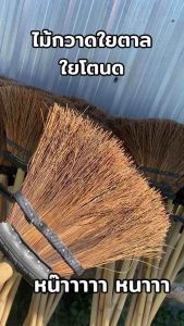 ไม้กวาดใยตาลหรือใยโตนด